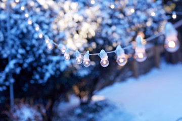 Festive lights in a winter garden