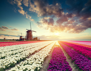 The road leading to the Dutch windmills from the canal in Rotterdam. Holland. Netherlands