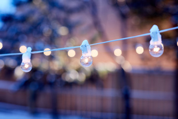 Strand of glowing party lights in a winter garden