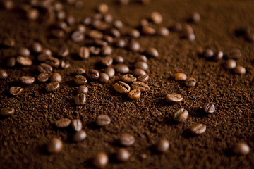 Fototapeta na wymiar Coffee beans on coffee powder