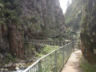 New Zealand, Katikati, Karangahake Gorge - IMG_20180217_143537