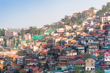 Fototapeta na wymiar Colorful buildings on the side of a mountainside on a dawn morning. Shot in shimla it shows the sloping roof buildings with trees in between