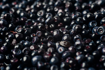blueberries background. blueberries are scattered