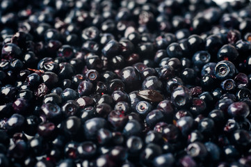 blueberries background. blueberries are scattered