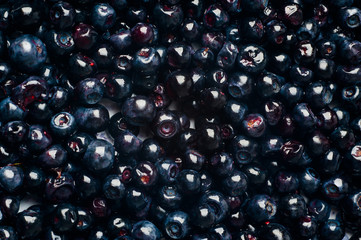 blueberries background. blueberries are scattered