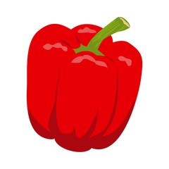 Vector illustration icon of a red pepper	
