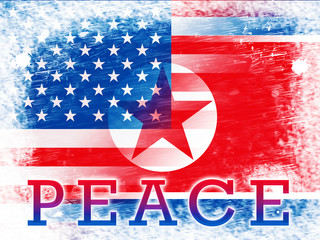 Obraz premium American North Korea Peace Freedom Flag 3d Illustration