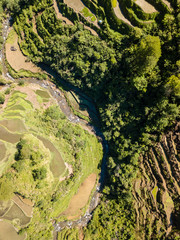Aerial drone view of rice terraces in Banaue, Philippines