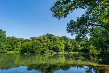 狭山公園の宅部池（たっちゃん池）
