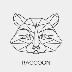 Abstract polygonal head of a raccoon. Geometric linear animal. Vector illustration.