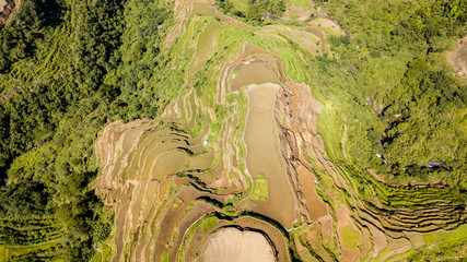 Birds eye aerial view of rice terraces on a large mountain