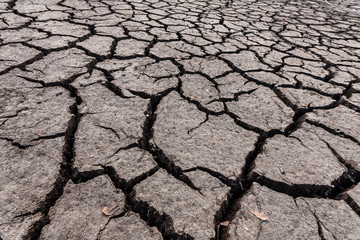 Cracked dry mud in empty dam