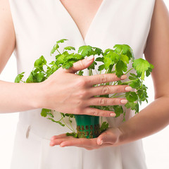 parsley woman hand white background - 209361047