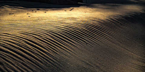 desert wind in sunset touching a sand dunes and draw the waves.