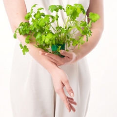 parsley woman hand white background - 209361052