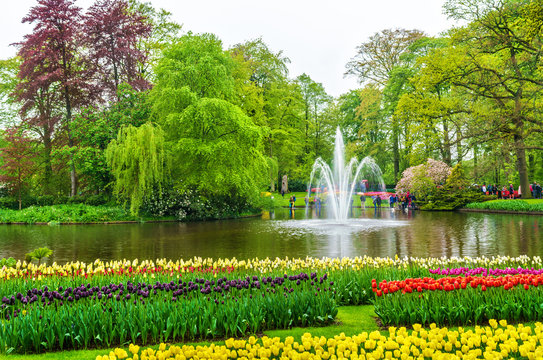 View of Keukenhof Garden, also known as the Garden of Europe, in the Netherlands.