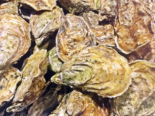 Very fresh oysters in the water in a fresh market