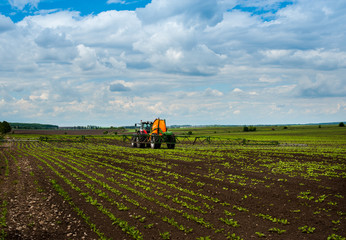 tractor, sugar beet, spraying on field