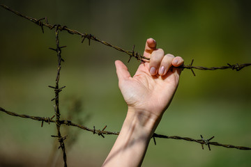 Hand clutch at barbed wire fence on green background