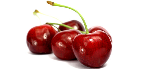 rote Bio Kirschen