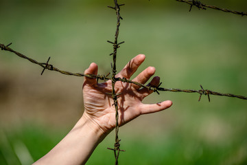 Hand clutch at barbed wire fence on green background