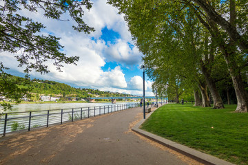 river walkway at the Rhein park "Rheinanlagen" Koblenz, Germany