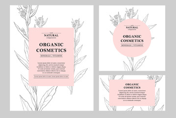 Vector hand drawn floral cards and banners. Botanical hand drawn illustration. Vintage hipster herb templates. Natural organic cosmetics packaging design.