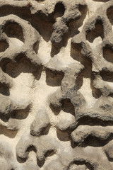 Detail of stone worn by the wind