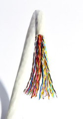 electric wire multicore on a white background