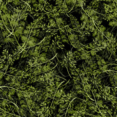 Watercolor floral seamless background, texture of leaves, grasses, plants. Juniper with berries, moss,wild grass, green plants. Natural wood pattern.Beautiful pattern for your design.Manual graphics. 