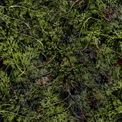 Watercolor floral seamless background, texture of leaves, grasses, plants. Juniper with berries, moss,wild grass, green plants. Natural wood pattern.Beautiful pattern for your design.Manual graphics. 