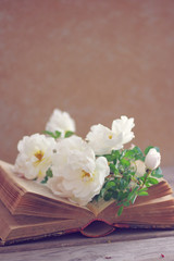 White roses on old books
