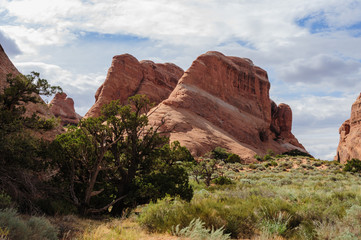 Delicate rock formations in Arches National Park, USA