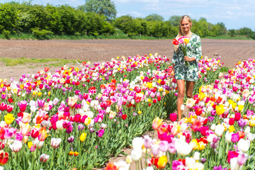 Junge Frau pflückt Blumen auf einem Feld