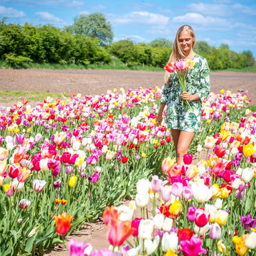 Junge Frau pfl&uuml;ckt Blumen auf einem Feld