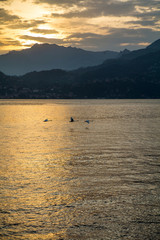 Cranes are flying in sky over the Como Lake near Varenna at sunset, Lombardia, Italy, 