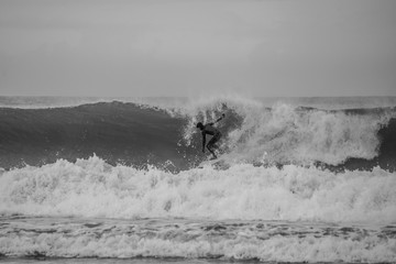 Surfer