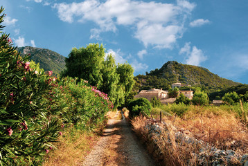 Fototapeta na wymiar Beautiful landscape of Mallorca, Spain. Lush Green Landscape. Mountains covered with vegetation, a rural road to the Spanish house. Sunny, hot Spanish day. Mountain village