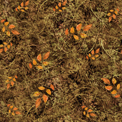 Watercolor floral seamless background, texture of autumn leaves, grasses, plants. Juniper with berries, moss,wild grass, plants. Natural wood pattern. Beautiful pattern for your design. Brown, red.