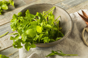 Raw Green Organic Dropwort Herb