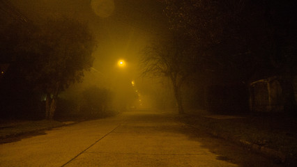 calle en la neblina