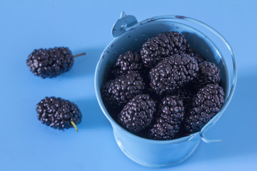 A mulberry in a blue bucket, on a blue background