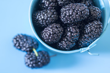 A mulberry in a blue bucket, on a blue background