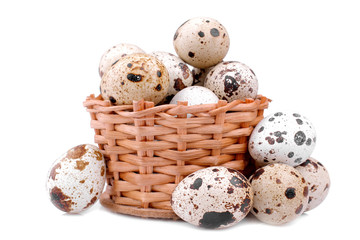 A lot of quail eggs in a small wicker basket. on a white background. isolated