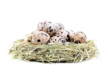 Obraz premium A lot of quail egg in a green nest of grass. on a white background. isolated