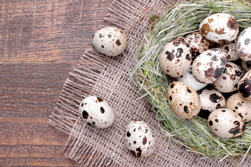 Quail eggs close-up next to the nest on a brown wooden background. Top view