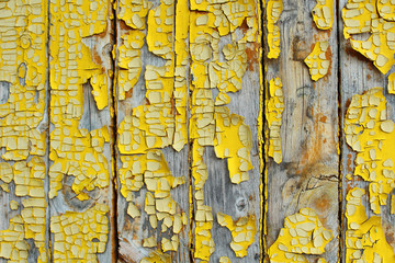 Old planks with shabby dried yellow paint. Close-up. Background. Texture.