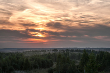 Fototapeta na wymiar Forest and sunset