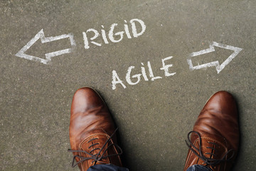 Decision time: Rigid or Agile
