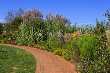 Brick pavers walkway with pampas and ornamental grasses